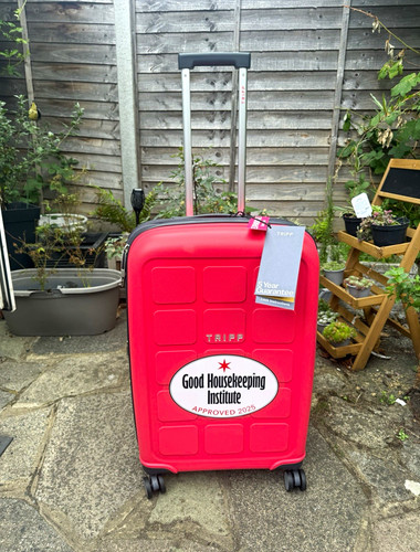 Tripp holiday watermelon - holiday,